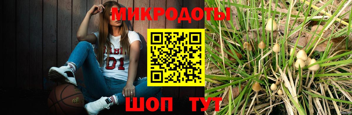 Псилоцибиновые грибы Psilocybe Саранск