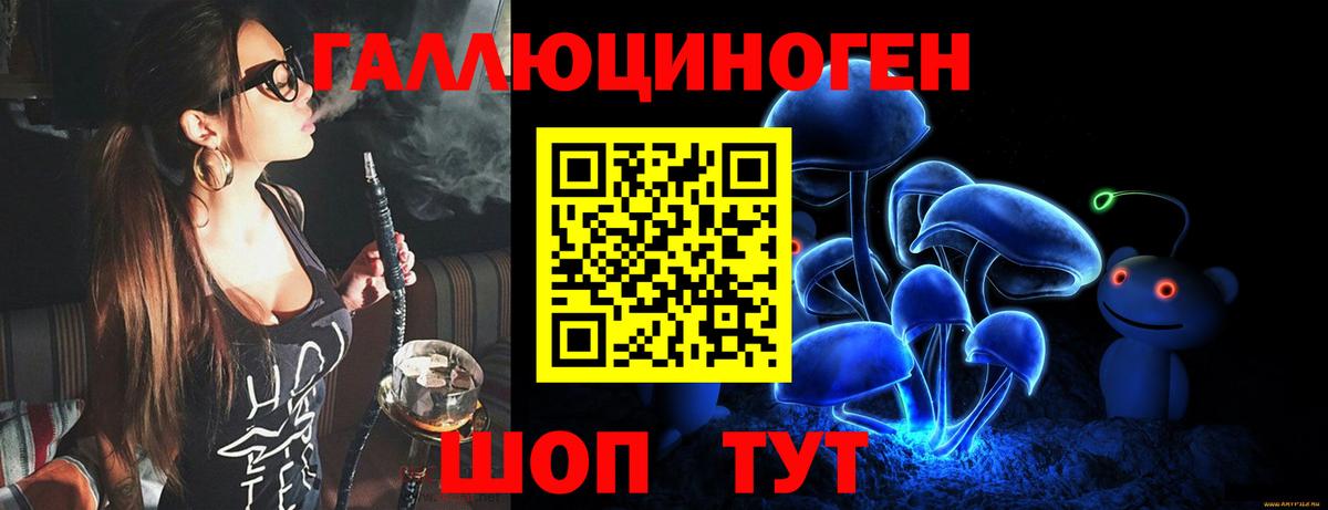 что такое   Вход с VPN  Саранск  Галлюциногенные грибы Cubensis 